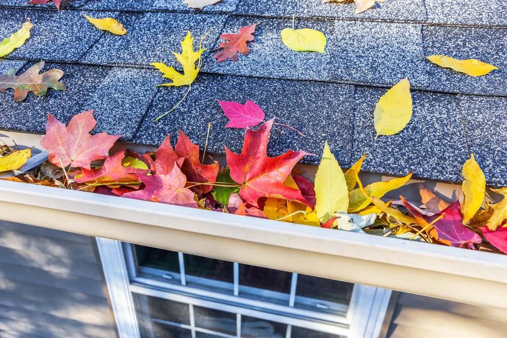 5 Fall Home Maintenance Tips